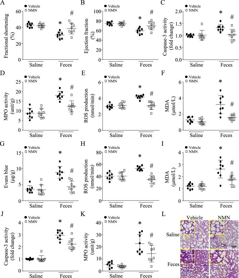 优米娱乐有限公司官网首页下载 包含图片、插图等的外部文件。
对象名称为 12967_2023_4767_Fig2_HTML.jpg