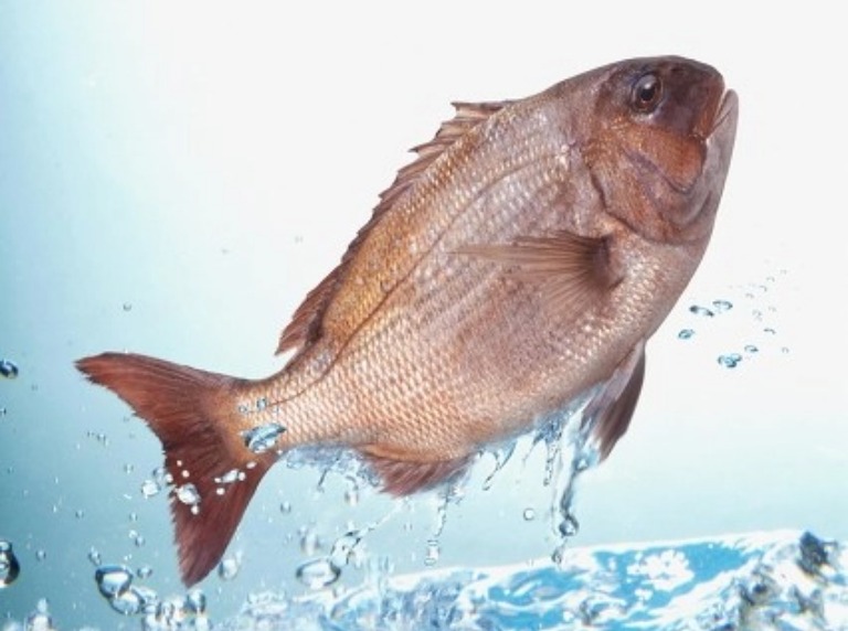 优米娱乐有限公司官网首页下载