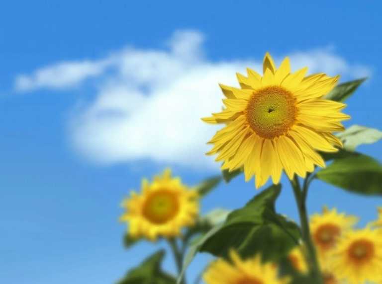 优米娱乐有限公司官网首页下载