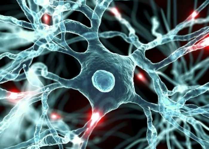 优米娱乐有限公司官网首页下载