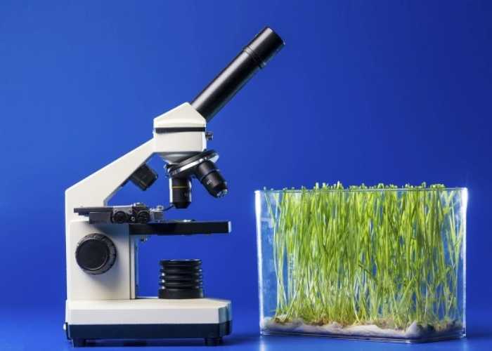 优米娱乐有限公司官网首页下载