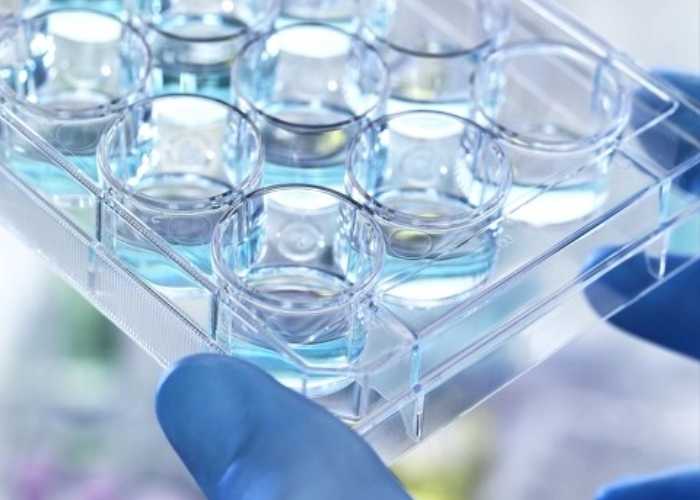 优米娱乐有限公司官网首页下载 优米娱乐有限公司官网首页下载