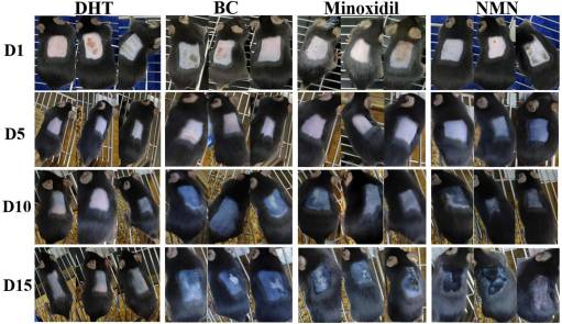 优米娱乐有限公司官网首页下载