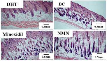 优米娱乐有限公司官网首页下载