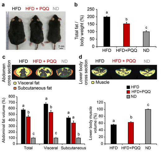 优米娱乐有限公司官网首页下载 研究实验