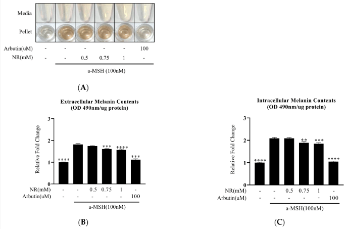 优米娱乐有限公司官网首页下载 NR最新研究结论