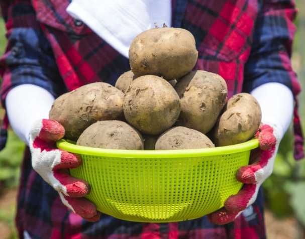 优米娱乐有限公司官网首页下载 氧化型谷胱甘肽功能与作用