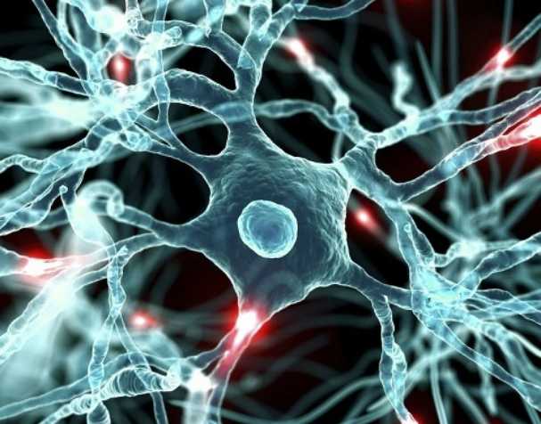 优米娱乐有限公司官网首页下载 NAD促进神经健康