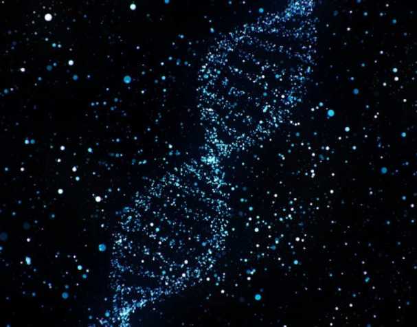 优米娱乐有限公司官网首页下载 烟酰胺核糖氯化物有什么优势?