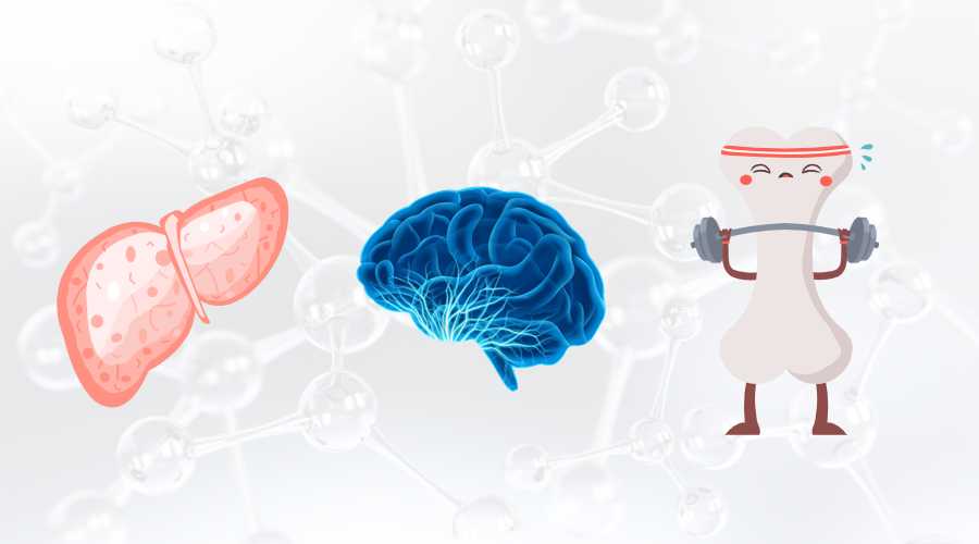 优米娱乐有限公司官网首页下载 SAMe对肝脏健康的潜在益处