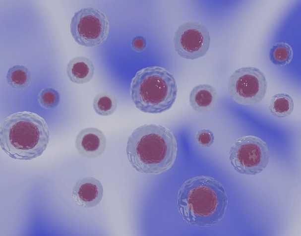 优米娱乐有限公司官网首页下载 PQQ的结构与特性