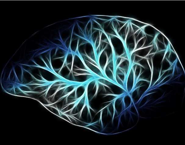 优米娱乐有限公司官网首页下载 PQQ对大脑功能的影响