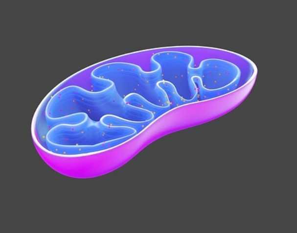 优米娱乐有限公司官网首页下载 缓解特定疾病症状