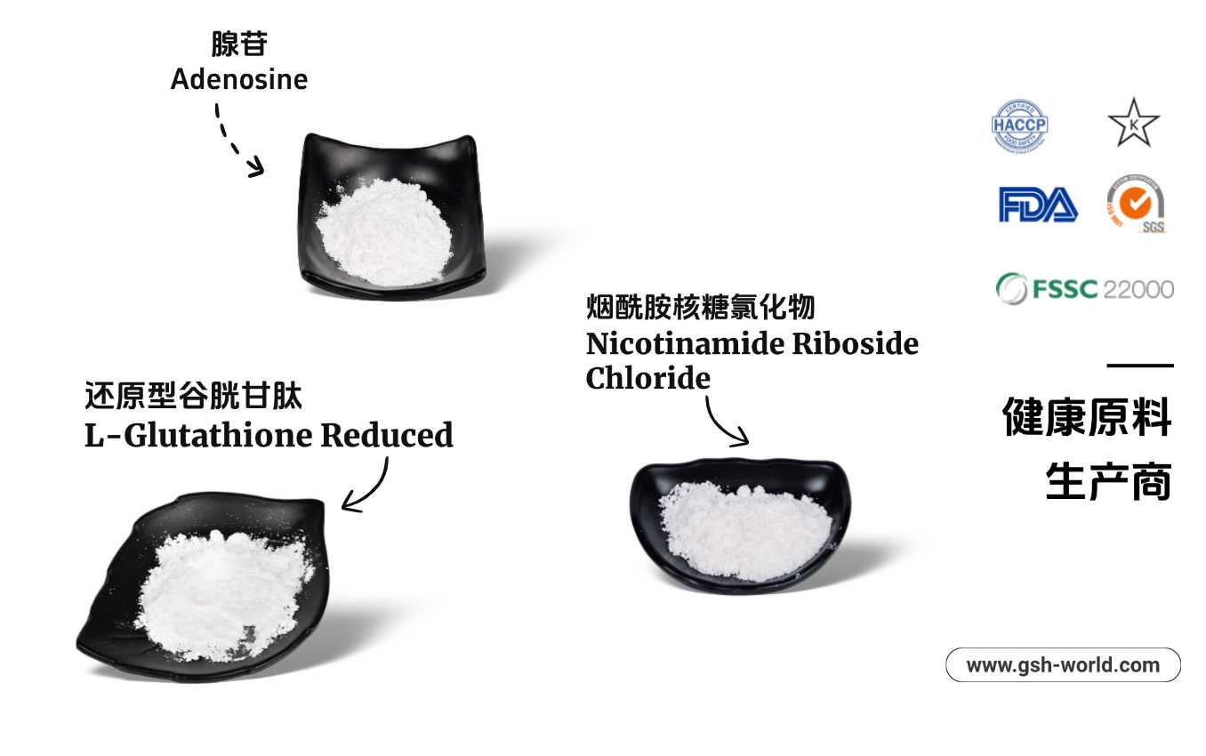 健康原料生产商 健康原料生产商