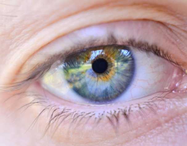 胞磷胆碱的作用机制 胞磷胆碱的作用机制