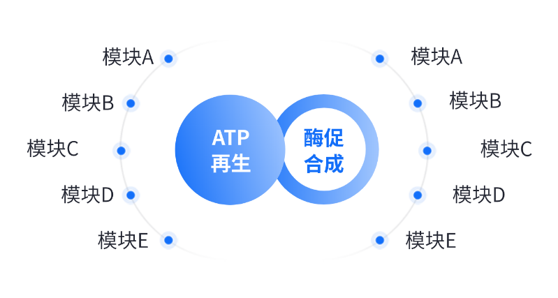 酶法生产应用领域 酶法生产应用领域
