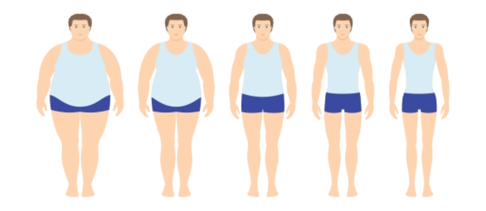 抗氧化补充剂通过多重机制影响脂肪组织 抗氧化补充剂通过多重机制影响脂肪组织