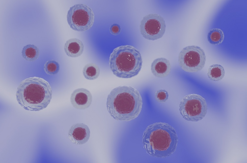 硫辛酸的独特作用与联合应用
