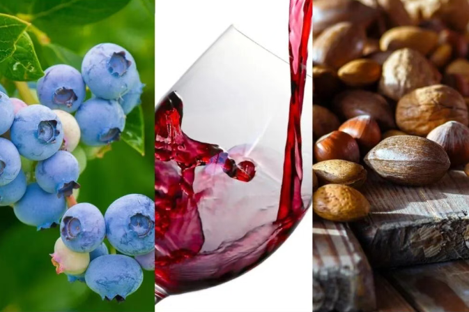 普通促智食物：以间接作用为主的温和保护路径