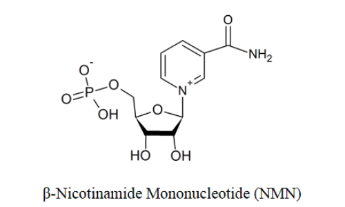 β烟酰胺单核苷酸功效及作用