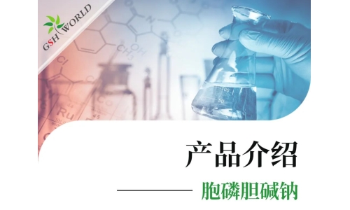 产品介绍 - 胞磷胆碱钠——被广泛应用的神经保护剂