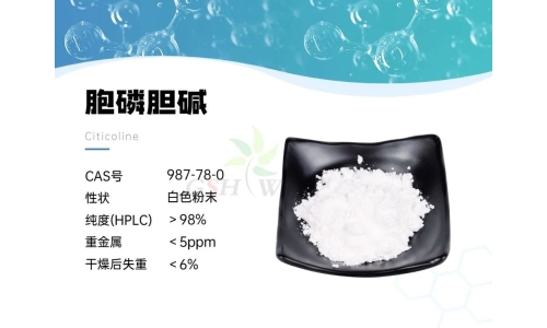 产品资讯 - 胞磷胆碱在视网膜病理学中的作用