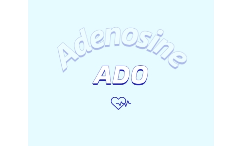 腺苷作为抗脱发外用制剂所发挥的作用