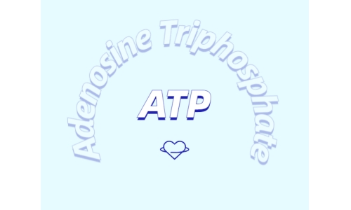 运动补剂新探索：ATP补充剂的优势