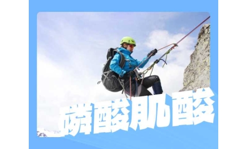 磷酸肌酸粉末有什么用途？